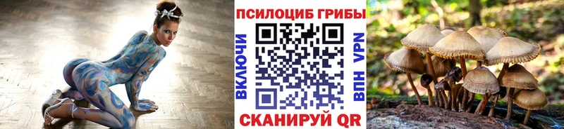 hydra ССЫЛКА  Городовиковск  Псилоцибиновые грибы прущие грибы 
