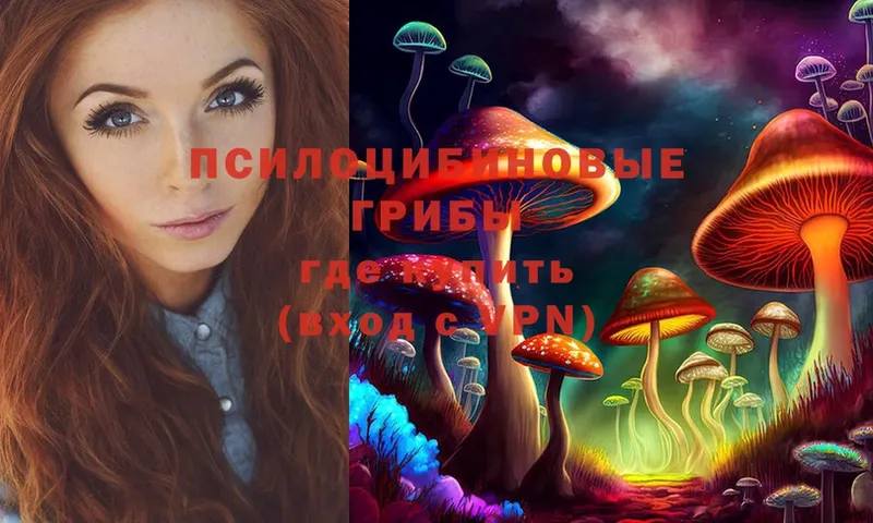 Галлюциногенные грибы Psilocybe  площадка формула  Городовиковск 